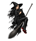 Broom Ride